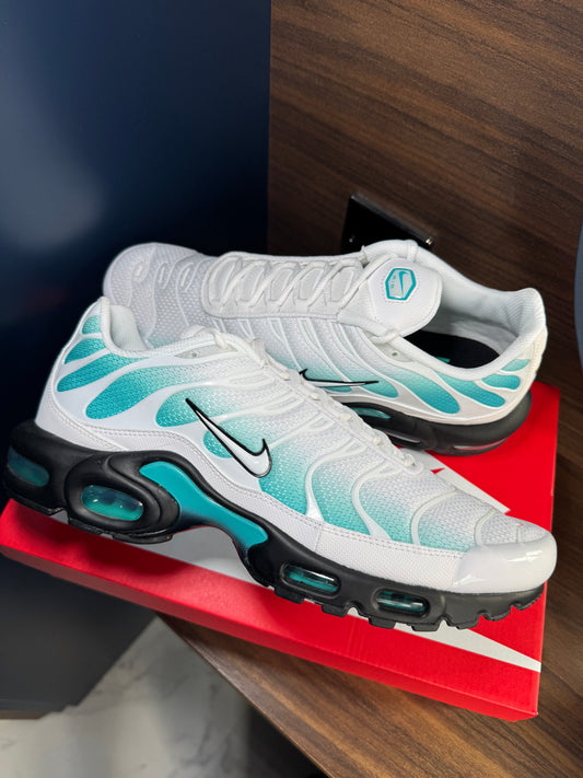 Nike Air Max Plus - Frostbite